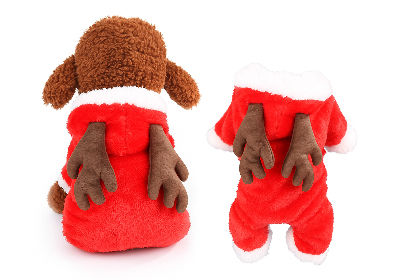 New Autumn & Winter Pet Outfit Featuring a Stylish Black Collar | Dog Halloween