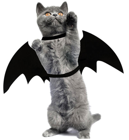 Pet Halloween Costume - Spider Bat Wings Transformation for Dogs and Cats
