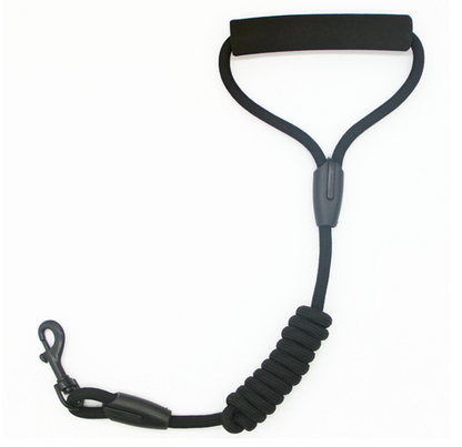 New Autumn & Winter Pet Outfit Featuring a Stylish Black Collar | Dog Halloween