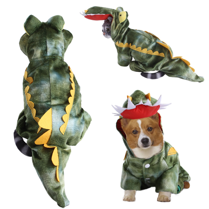 Three dogs wearing dinosaur costumes on a white background