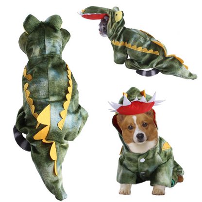 Three dogs wearing dinosaur costumes on a white background