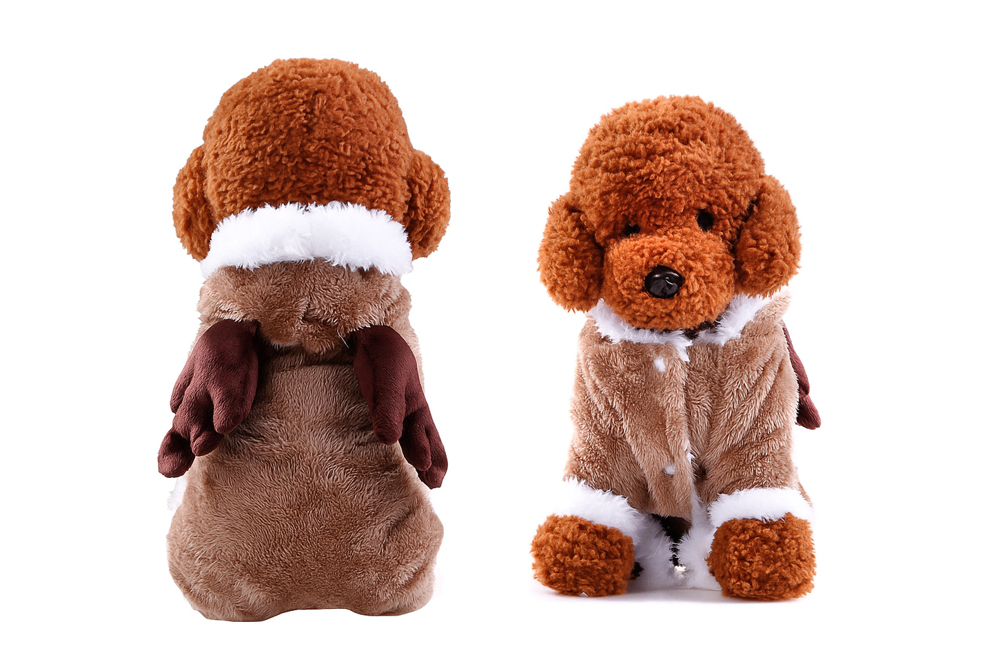 New Autumn & Winter Pet Outfit Featuring a Stylish Black Collar | Dog Halloween