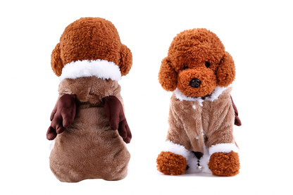 New Autumn & Winter Pet Outfit Featuring a Stylish Black Collar | Dog Halloween